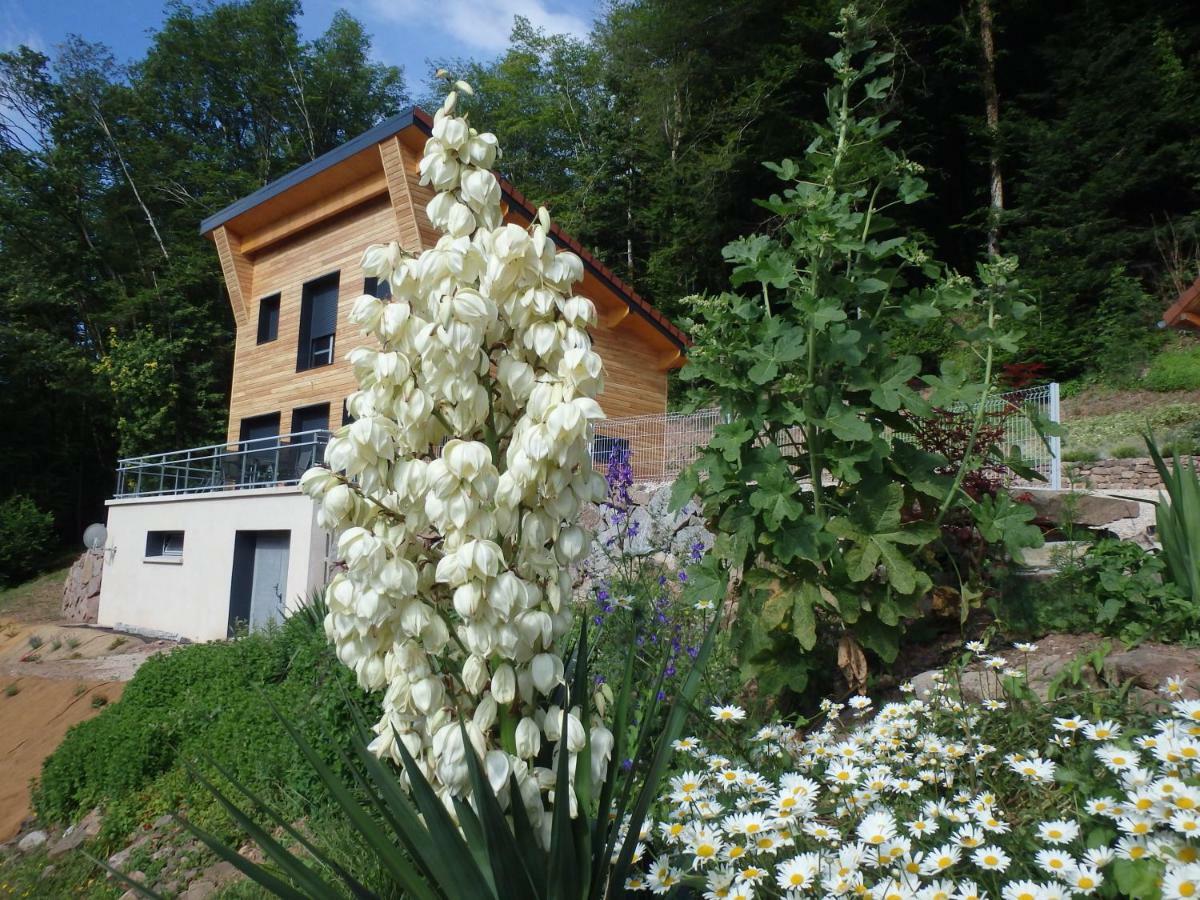 Villa Cora Venez Saint-Bresson Esterno foto
