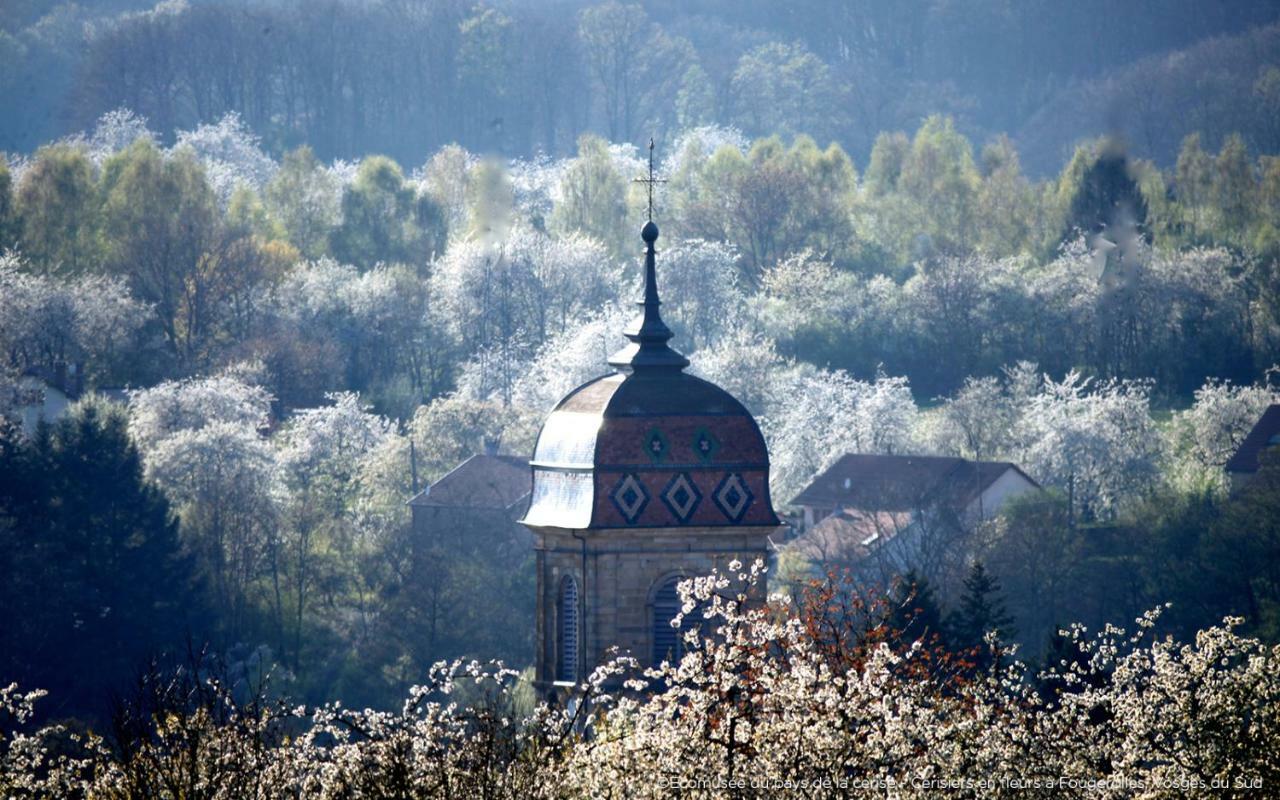 Villa Cora Venez Saint-Bresson Esterno foto